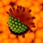 virus-Gemycircularvirus