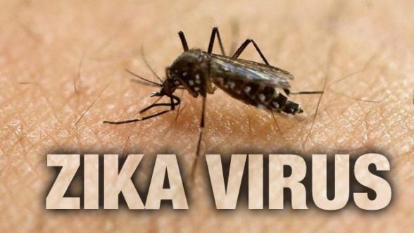 Zika-Virus