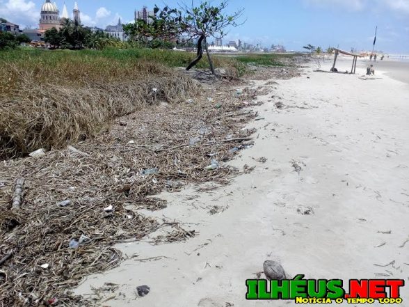lixo na praia de ilheus 5