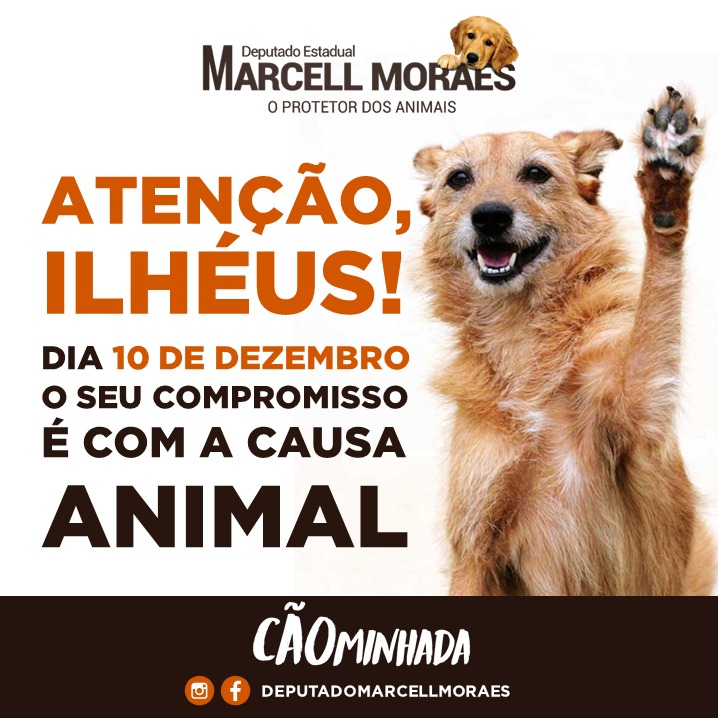 CAOMINHADA