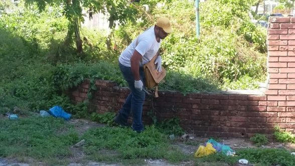 ILHÉUS: AGENTES DE ENDEMIAS DESTROEM FOCO DE MOSQUITO NO ANTIGO HOSPITAL E MATERNIDADE SANTA ISABEL 7