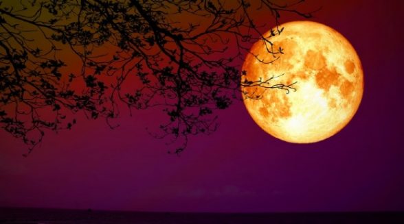 Lua-de-sangue-