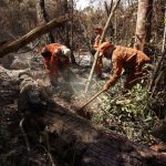 incendio na chapada