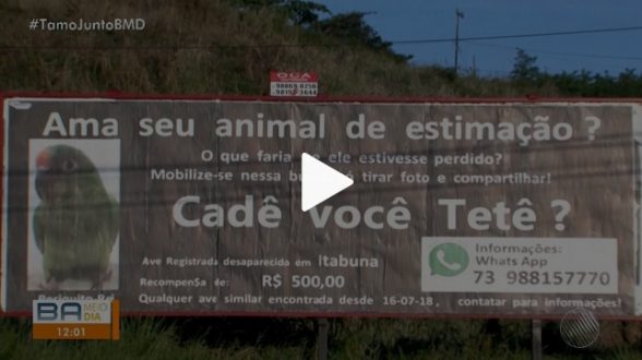 periquita desaparecida em itabuna