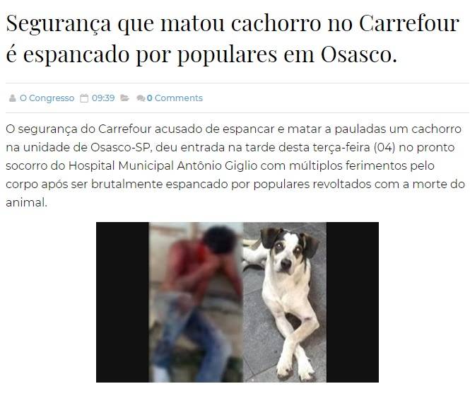 fake-news-cachorro