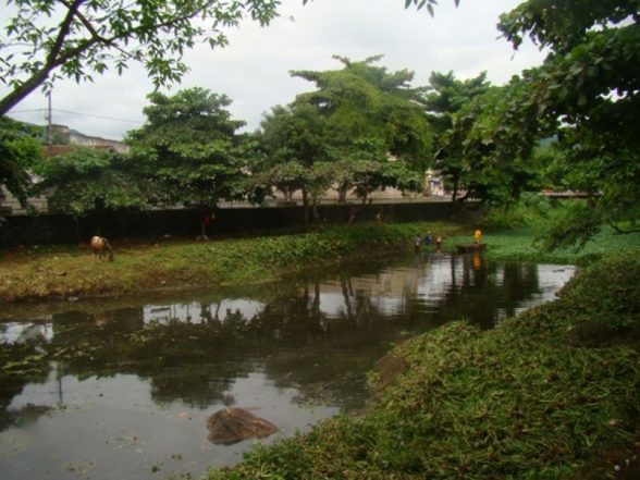 rio almada itajuipe