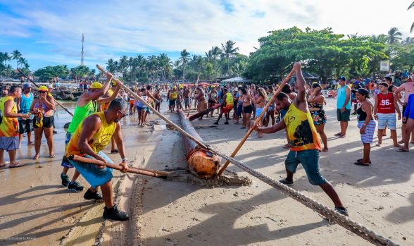 Puxada do mastro de São Sebastião 2019