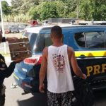 prf-resgata-aves-silvestres-transportadas-dentro-de-onibus-em-itabuna