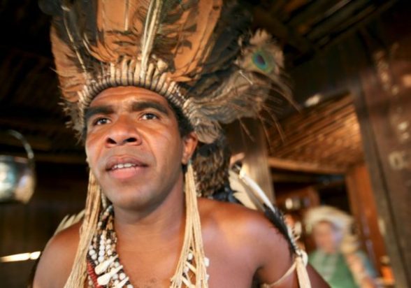 Cacique-Babau
