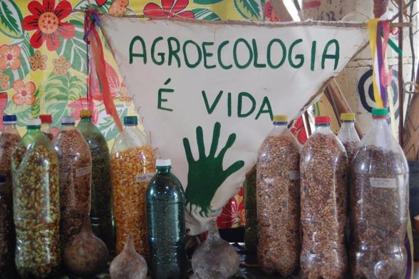 teia dos povos