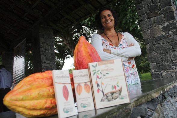 cacau amendoas