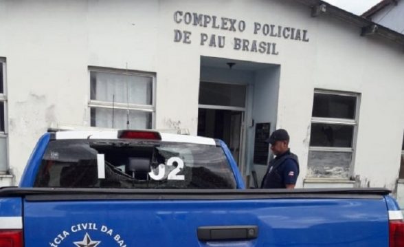 pau brasil