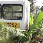 onibus-escolar3