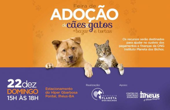 FEIRA DE CAES DE ILHEUS