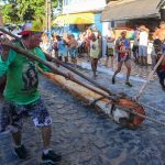 Puxada do mastro de São Sebastião Olivença}