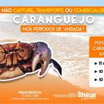 defeso carangueijo