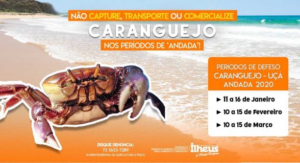 defeso carangueijo