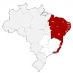 previsao-de-surto de dengue