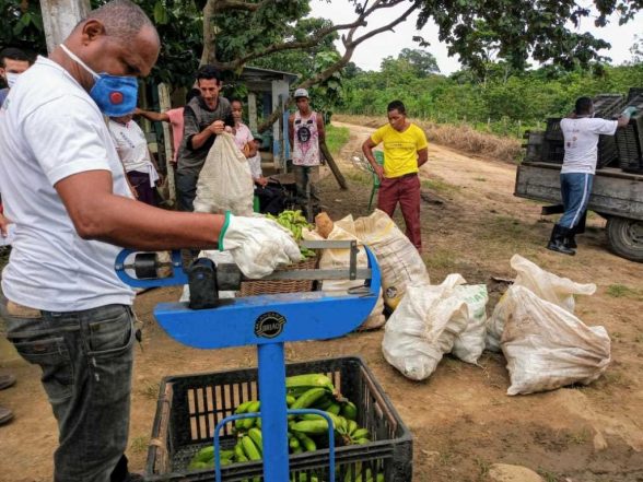 {Entrega de alimentos em Ilhéus}