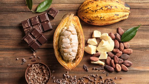 cvt-cacau-chocolate