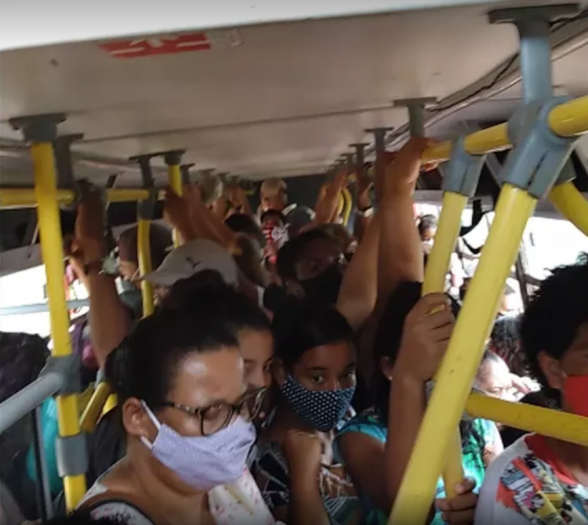 lotação onibus ilhéus