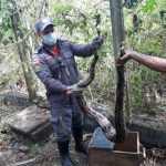 750_cobra-ilheus-resgate-bombeiros_2021318204147828