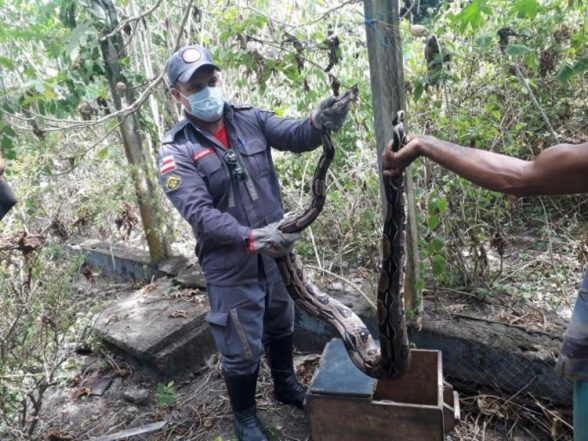 750_cobra-ilheus-resgate-bombeiros_2021318204147828