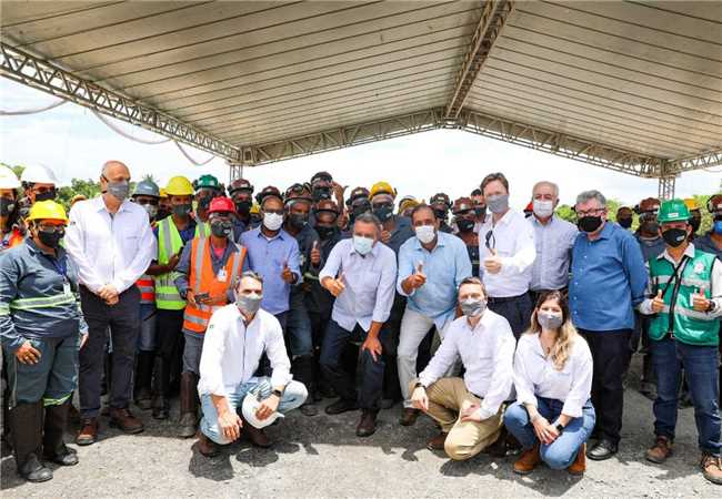 Fiol grupo de trabalho