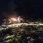 queda de arvore na rodovia ilheus itabuna