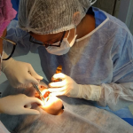 ODONTOLOGICO_DENTSTA