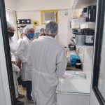 Pharmavida (2)