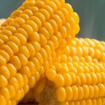 milho-cozido-no-micro-ondas