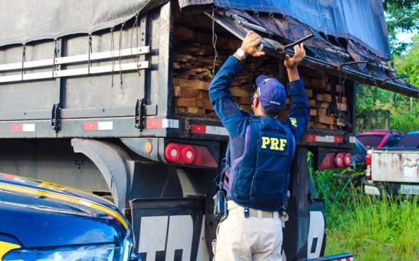 PRF madeira ilegal
