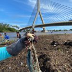 CARANGUEJOS arrastados pela enchente em Ilhéus provoca caos