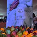 Festival internacional do chocolate