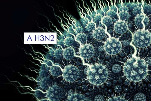 virus-da-influenza-a-subtipo-h3n2