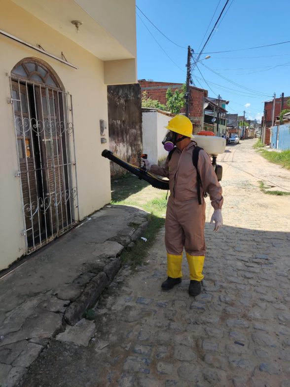 combate a dengue ilhéus