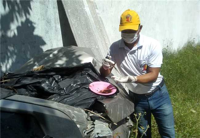 Combate a dengue Ilhéus