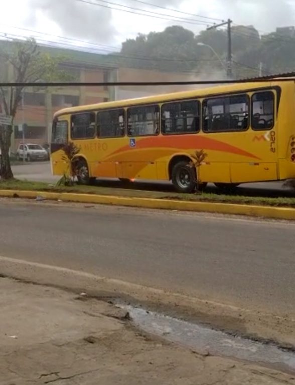 Incêndio ônibus viametro