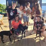Adoção de animais