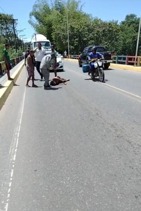 Homem acaba de se jogar em
