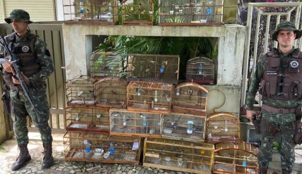 Animais em cativeiro