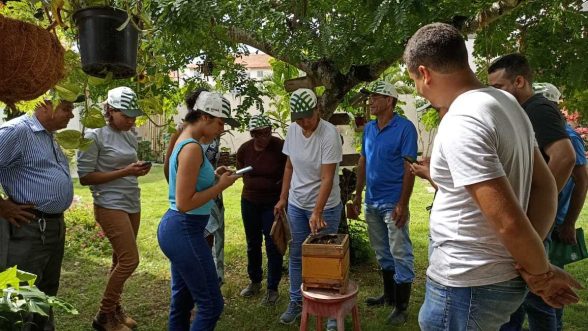 CURSO ABELHA SEM FERRÃO