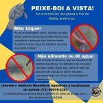 Peixe-boi