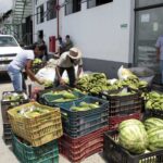 PAA Estadual: 80 famílias da agricultura familiar