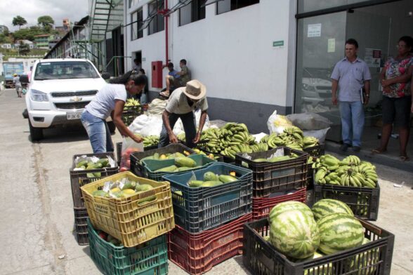 PAA Estadual: 80 famílias da agricultura familiar