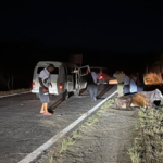 kombi-transportando-evangelicos-de-ilheus-colide-com-vaca-na-br-330-em-ipiau