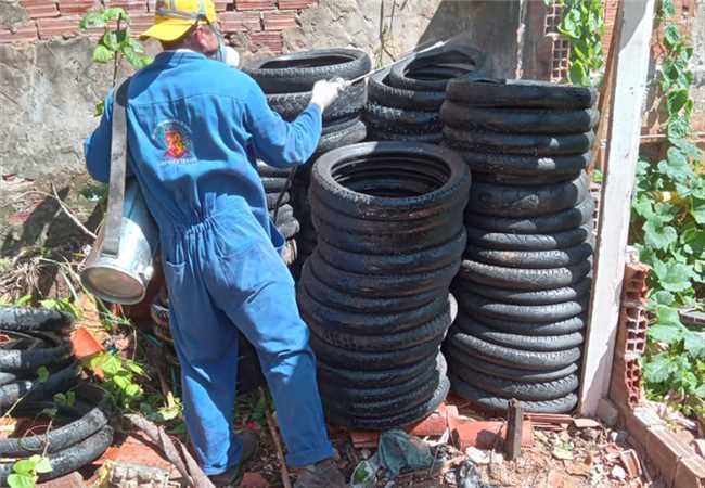 Combate ao Aedes aegypti dengue Chikungunya