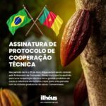 Cacau e camarões