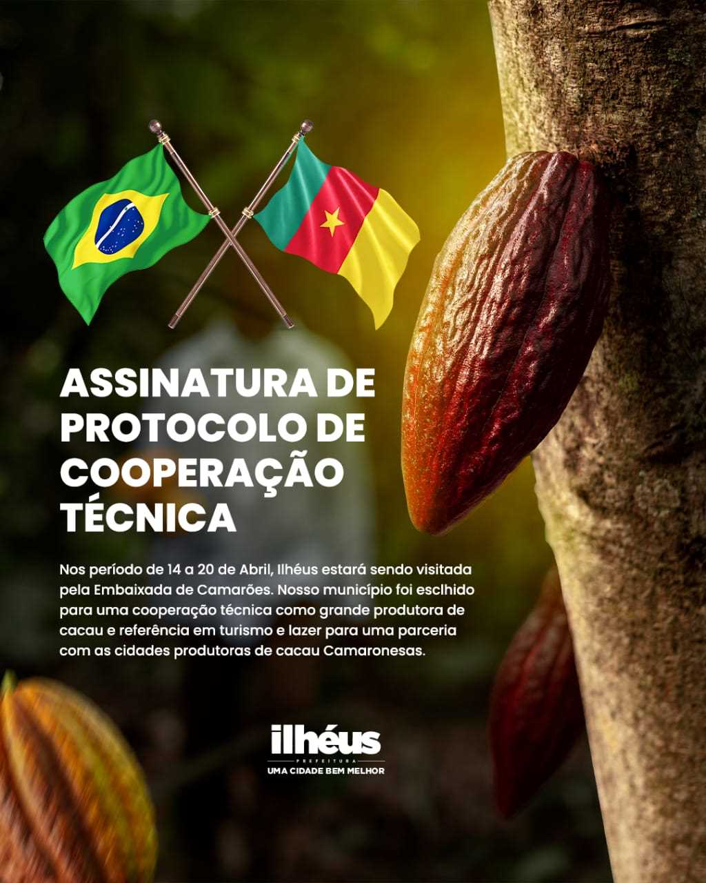 Cacau e camarões